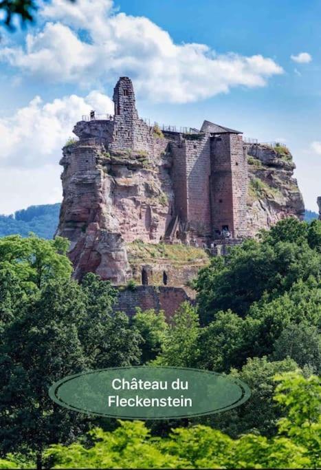 Oberbronn Gite Classe 4 Etoiles  La Maison Du Tonnelier מראה חיצוני תמונה